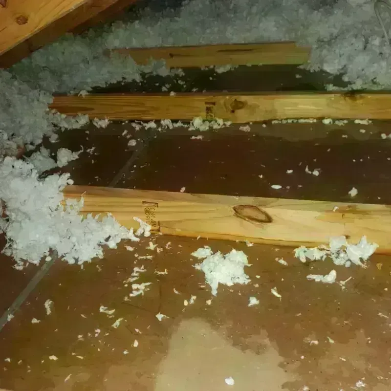 Attic Water Damage in Stockton, MO