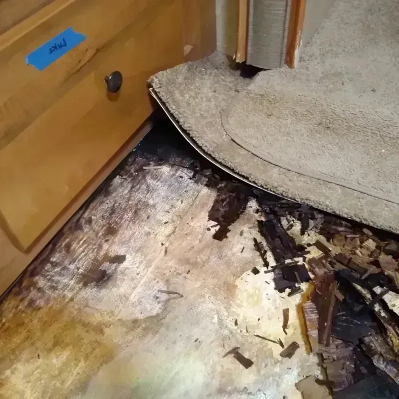 Wood Floor Water Damage in Stockton, MO